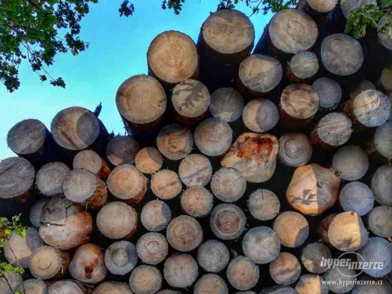 Palivové dřevo, smrk - foto 1