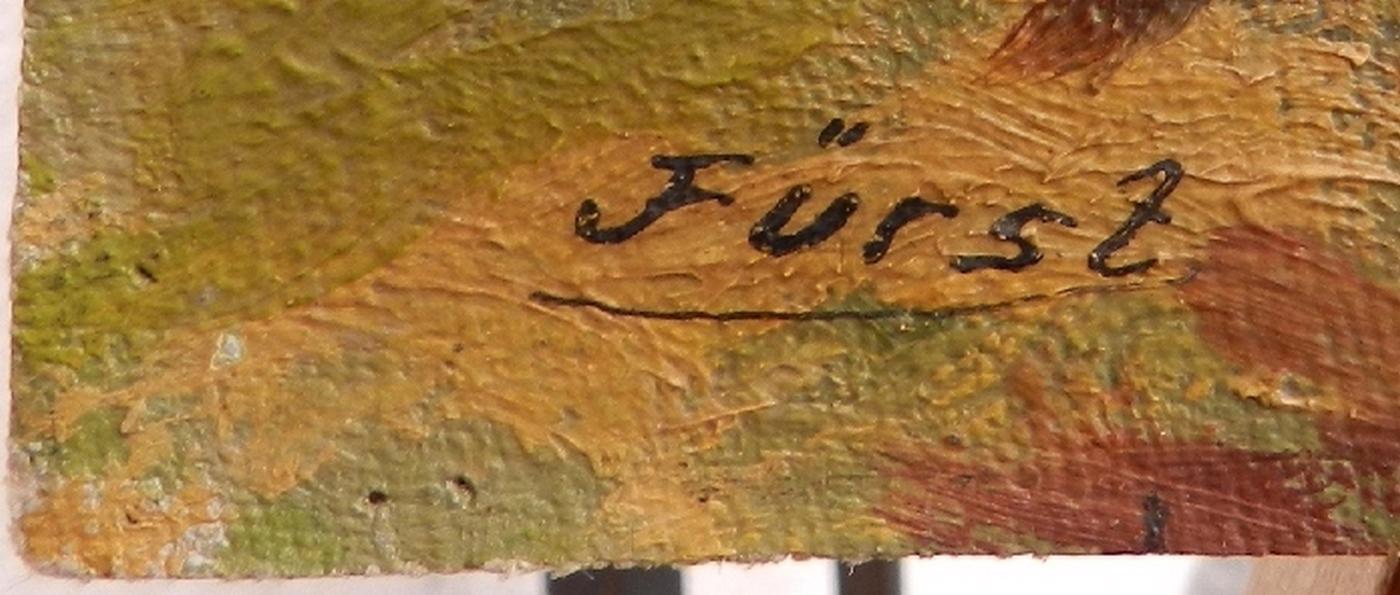 Fürst -Krajina s hradem  - foto 3