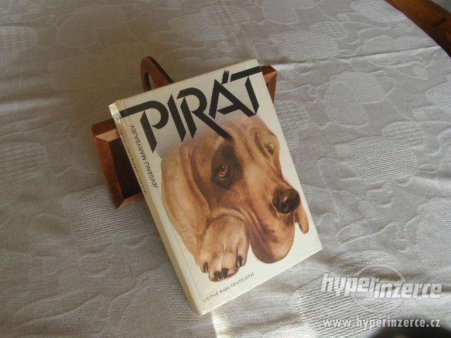 Pirát - dobrodružství psa v tajze - foto 1