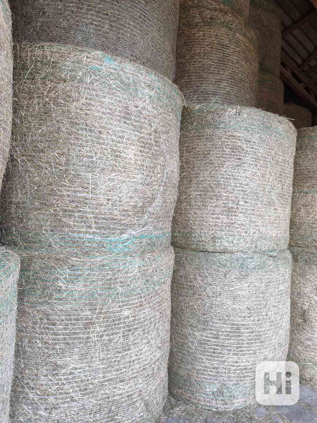 Prodám poctivé Bio seno 150x120ze skladovací haly s dopravou - foto 1