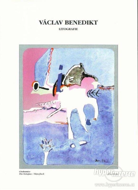 Václav Benedikt "Nápad ve fialové" 28000.- - foto 2