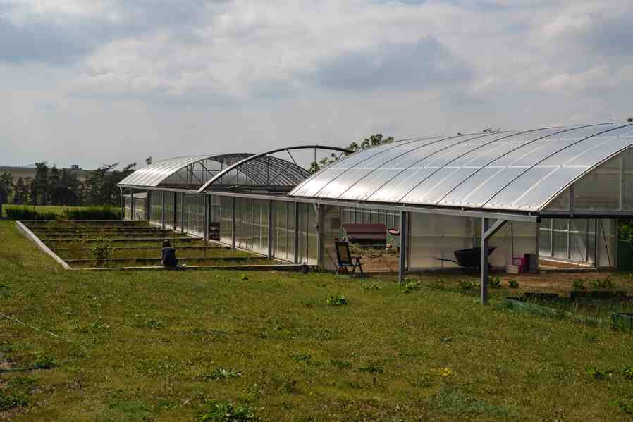 Prodej suchozemských želv - foto 9