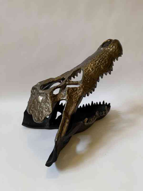 Hlava krokodýla - foto 5