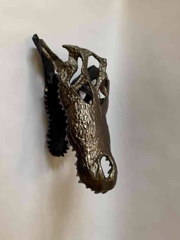Hlava krokodýla - foto 3