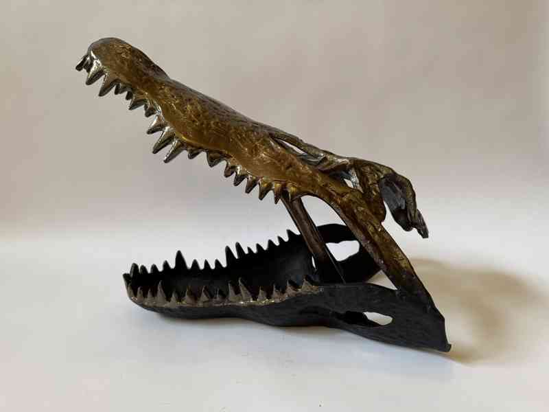 Hlava krokodýla - foto 2