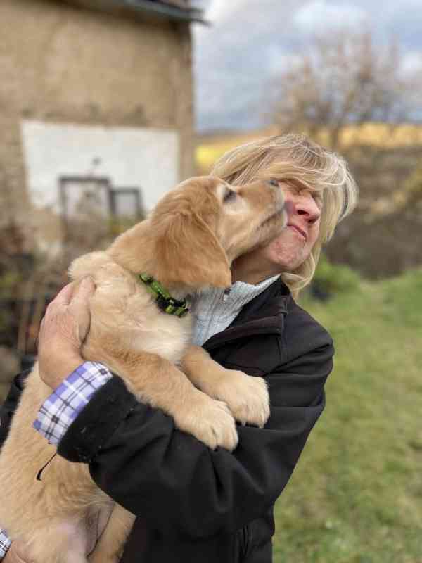 štěně hovawarta s PP - foto 9