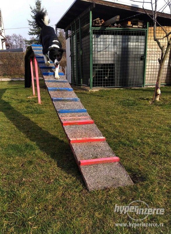 Agility kladina - foto 1