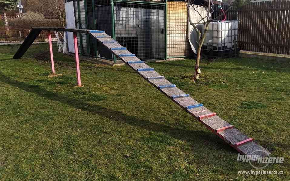 Agility kladina - foto 2