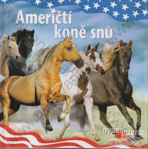 Američtí koně snů - foto 1