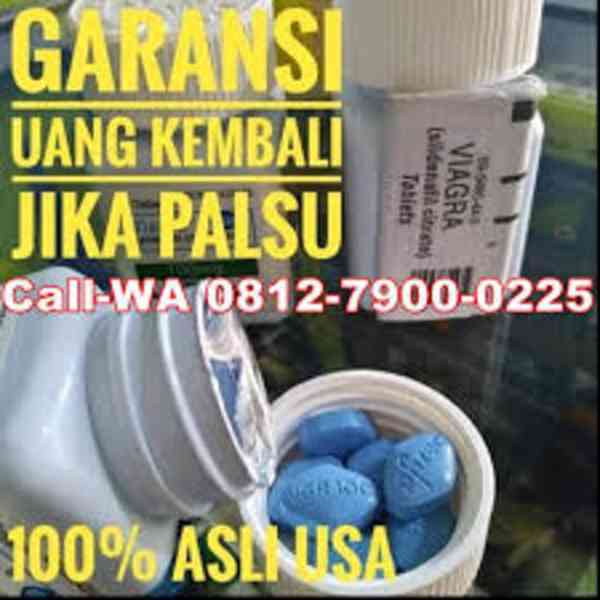 Jual Obat Viagra Pekanbaru 082135580002 Kualitas Asli Usa - foto 1