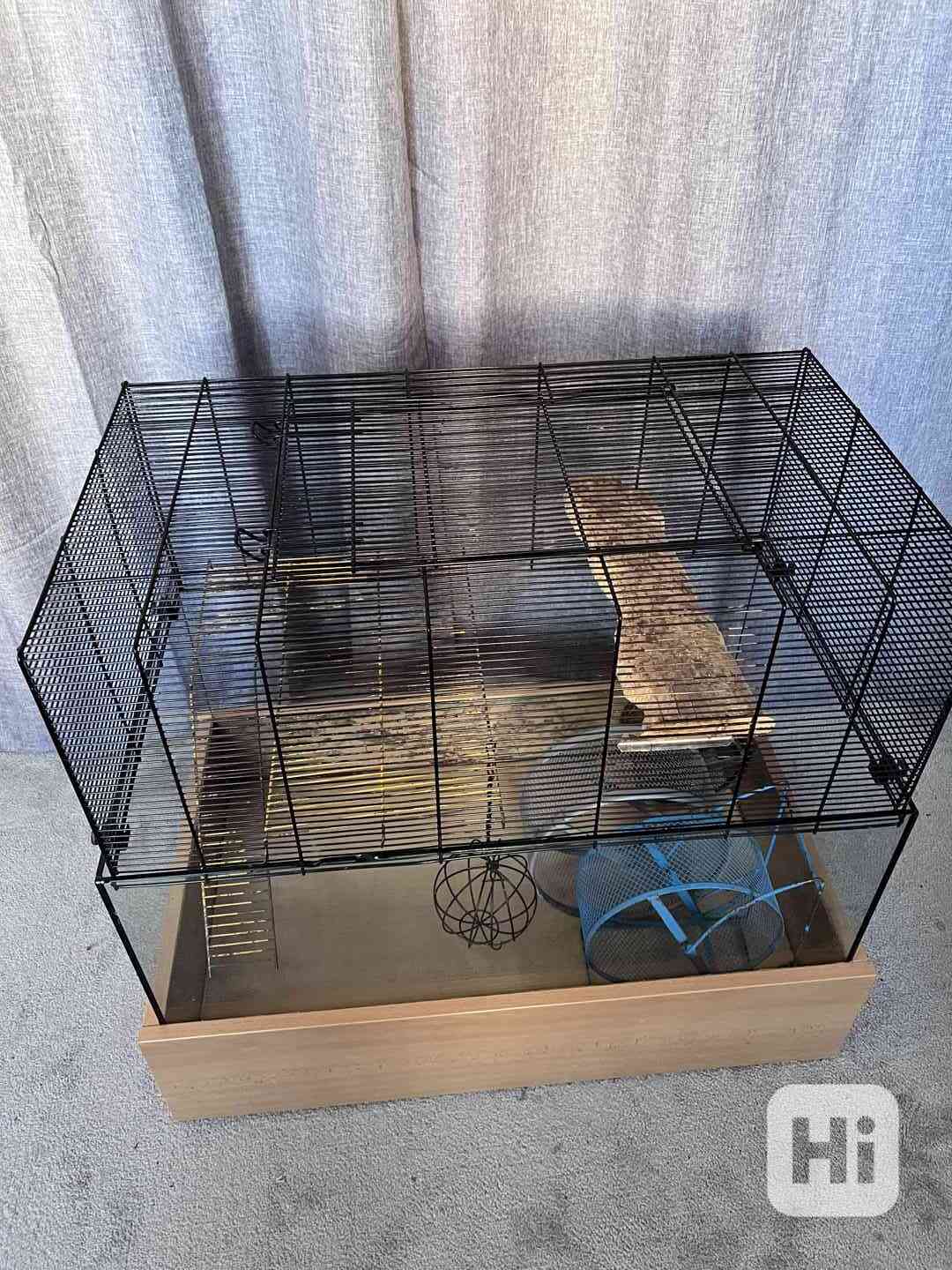  Speciálně upravená klec pro osmáky degu, vhodná i pro jiné  - foto 1
