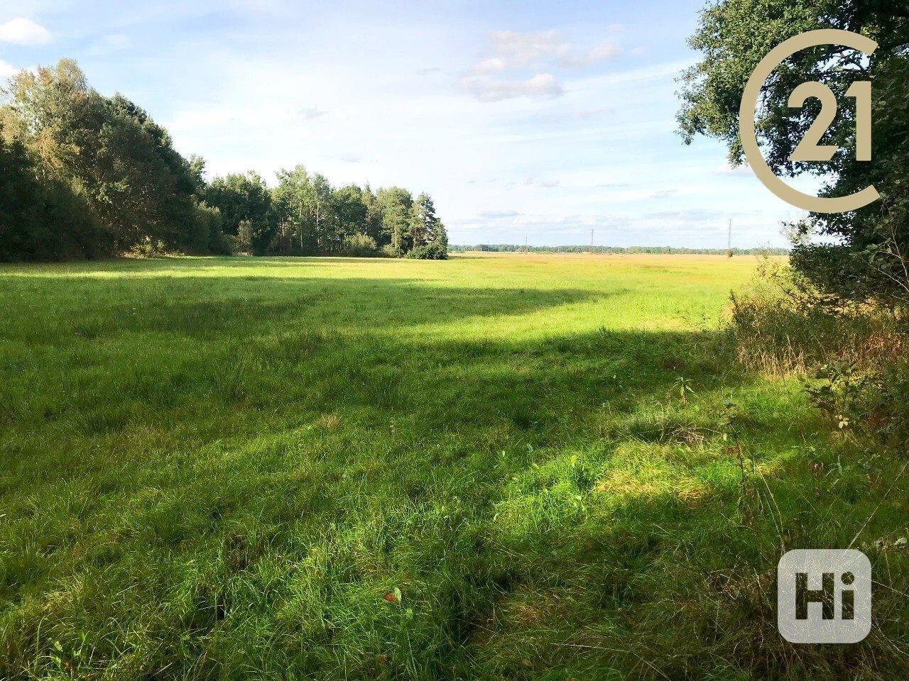 Prodej, Pozemky - trvalý travní porost,  3086m2, lesní pozemek 571m2, - Třeboň - Branná - foto 11