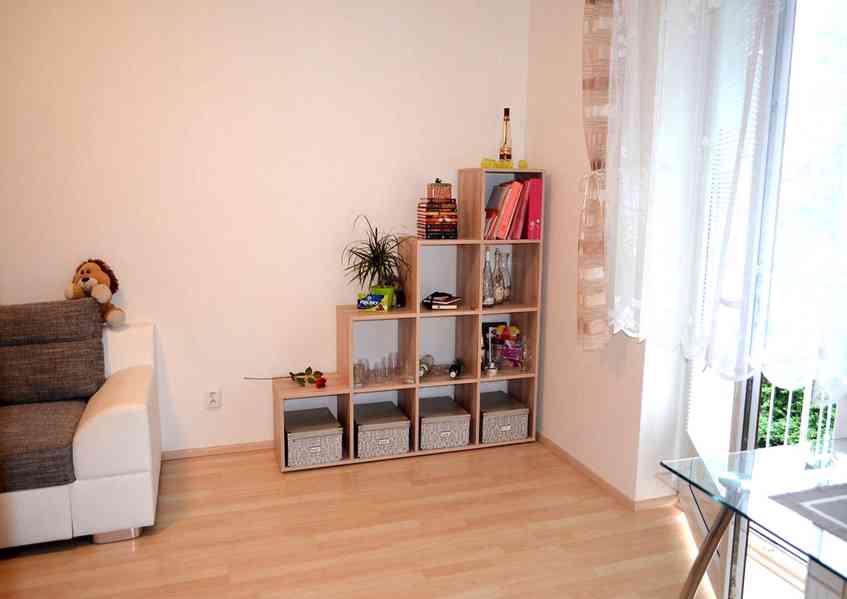 Pronájem novostavby 1+ 1 U Leskavy, Brno - St.Lískovec. 4.p - foto 11