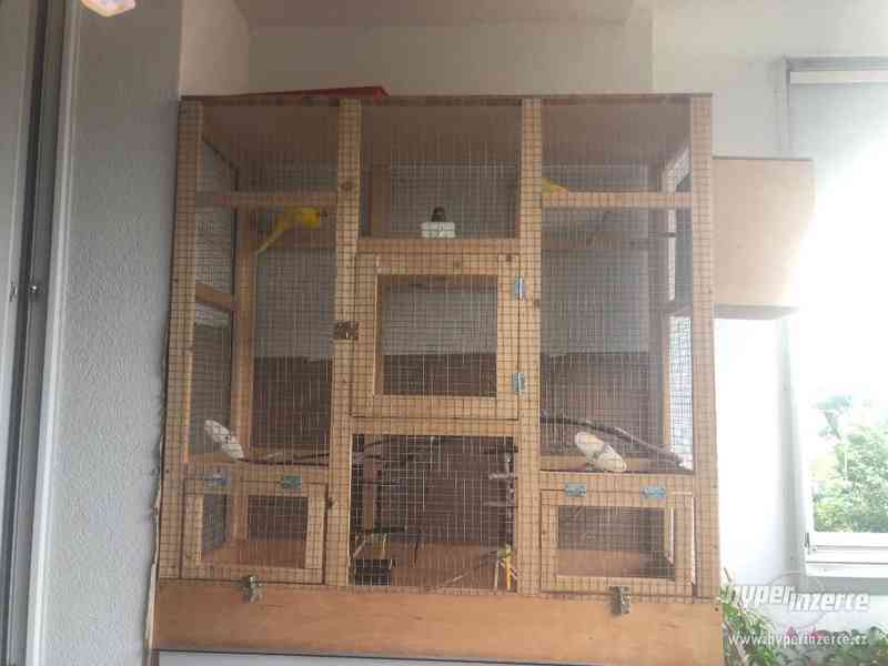 Voliera s Kakariki - foto 1