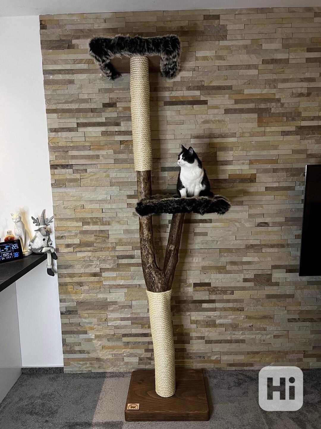 Kočičí stromy  - foto 1