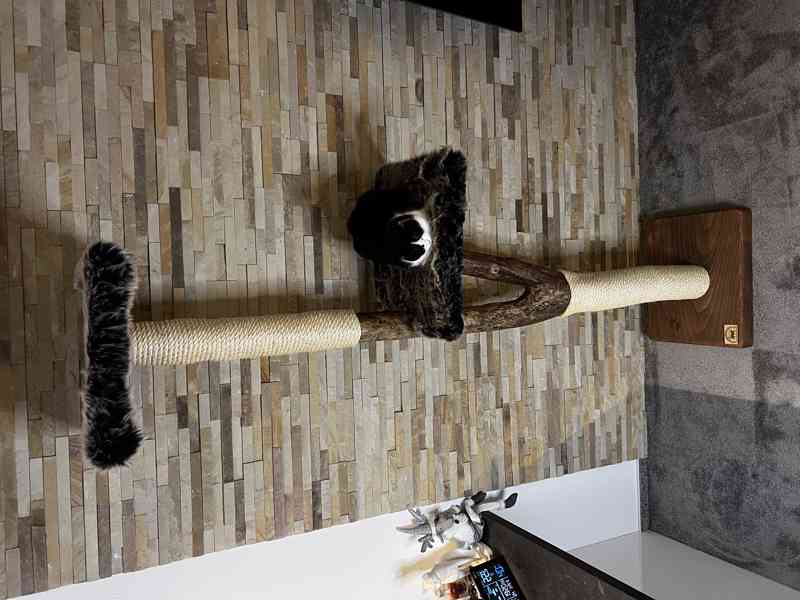 Kočičí stromy  - foto 2