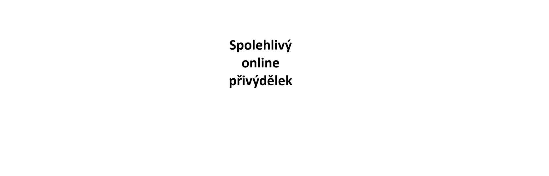 Spolehlivý online přivýdělek