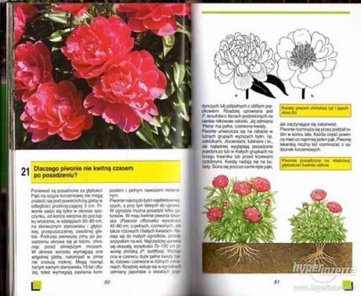 88 rad dla miłośników kwiatów - Radovan šrot 1995 - foto 1