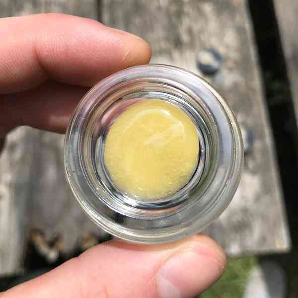 Platinová punčová kalafuna - foto 2