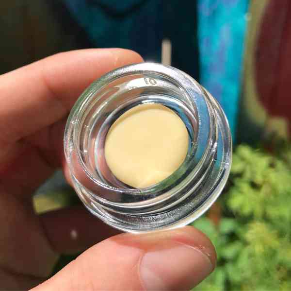 Platinová punčová kalafuna - foto 3