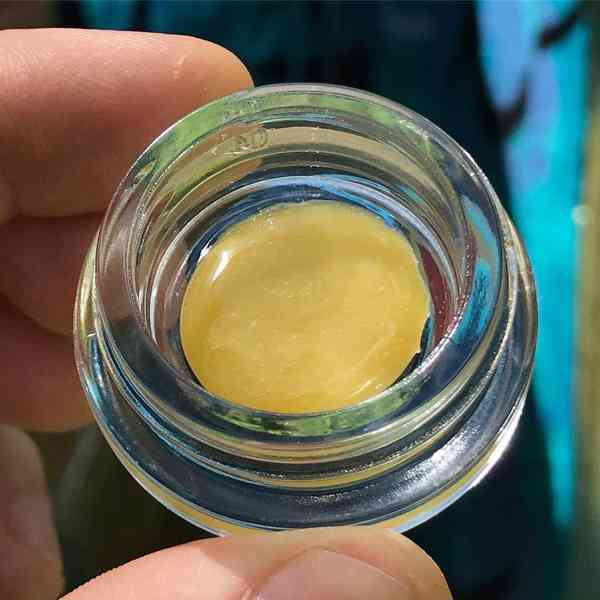 Platinová punčová kalafuna - foto 1