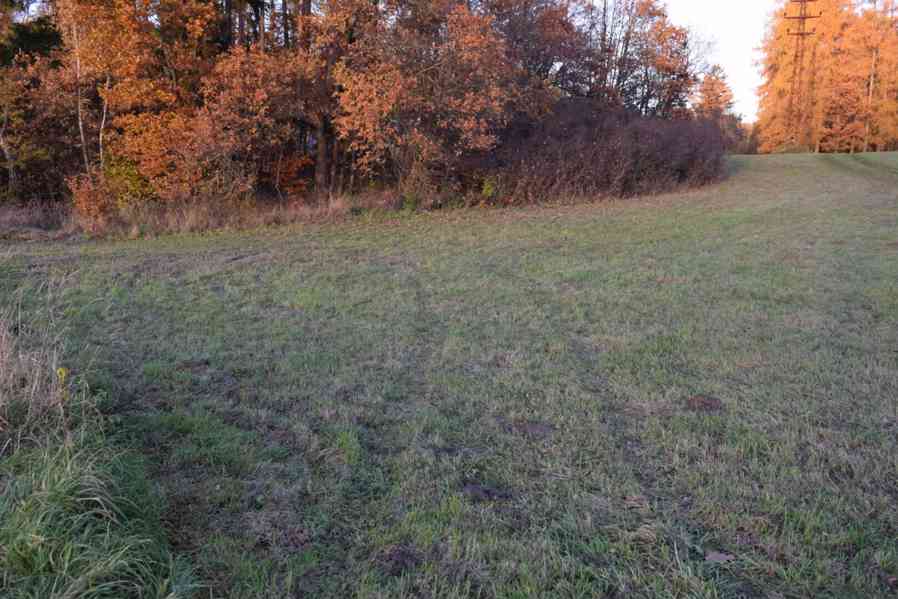 Prodej pozemku nedaleko přehrady Les Království - foto 2