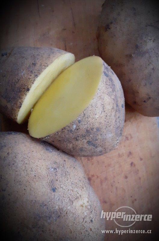 Prodej brambor "DOMINIKA" - foto 1