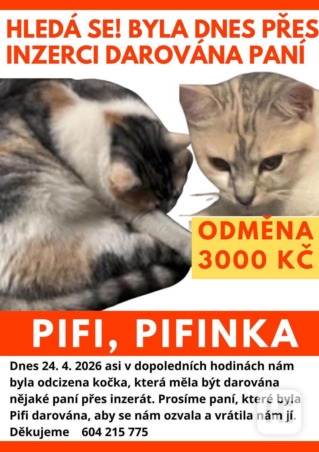 Hleda se kocka byla darovana dnes pres inzerci - foto 1