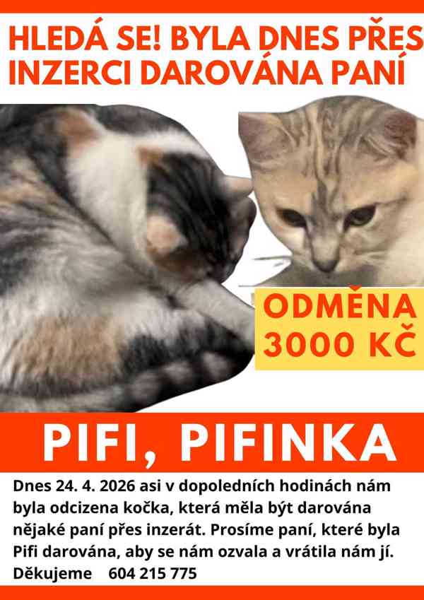 Hleda se kocka byla darovana dnes pres inzerci - foto 1