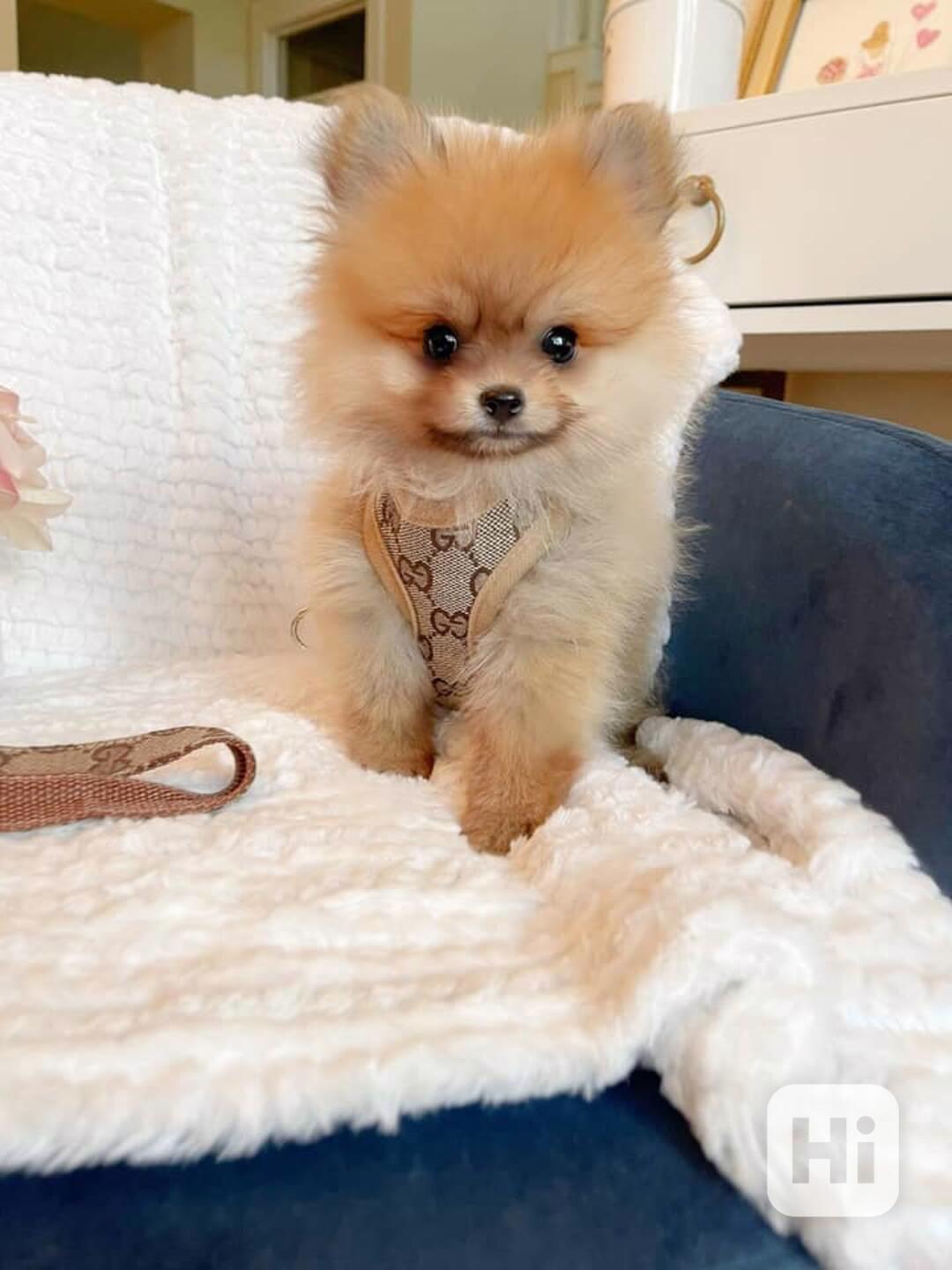 Pomořansko - foto 1