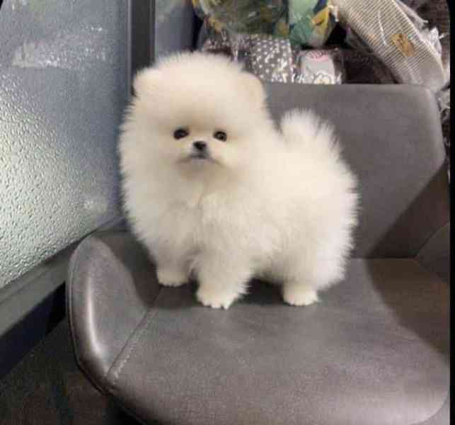 Pomořansko - foto 2