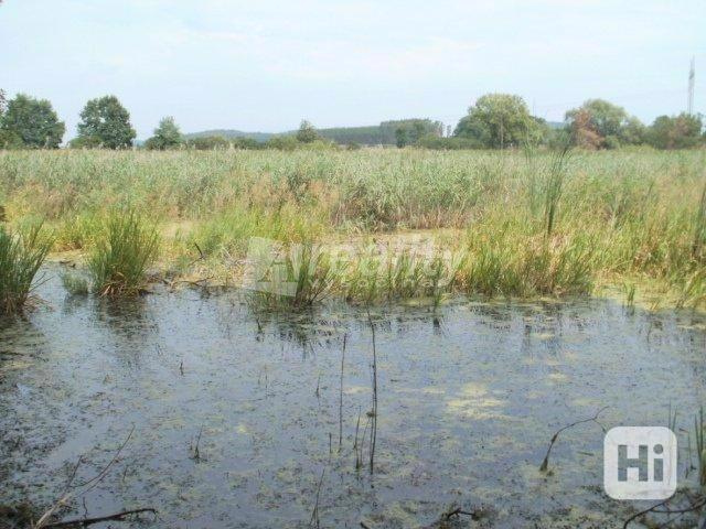 Prodej rybníku u obce Zvírotice, okres Příbram - foto 15