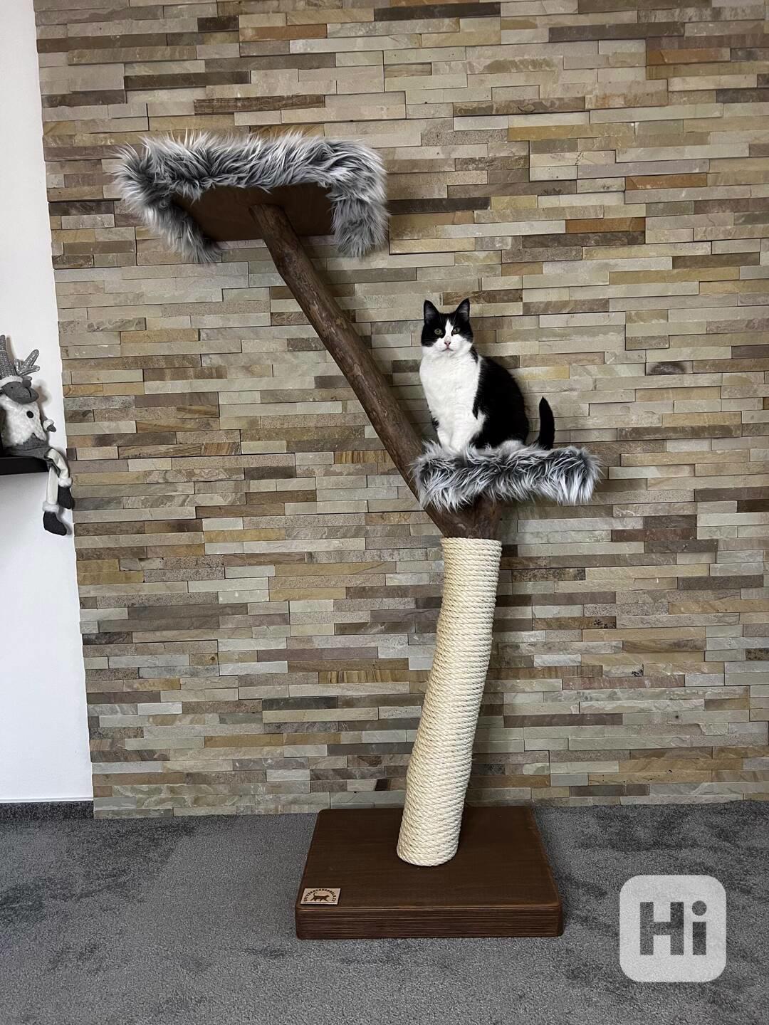 Kočičí stromy  - foto 1