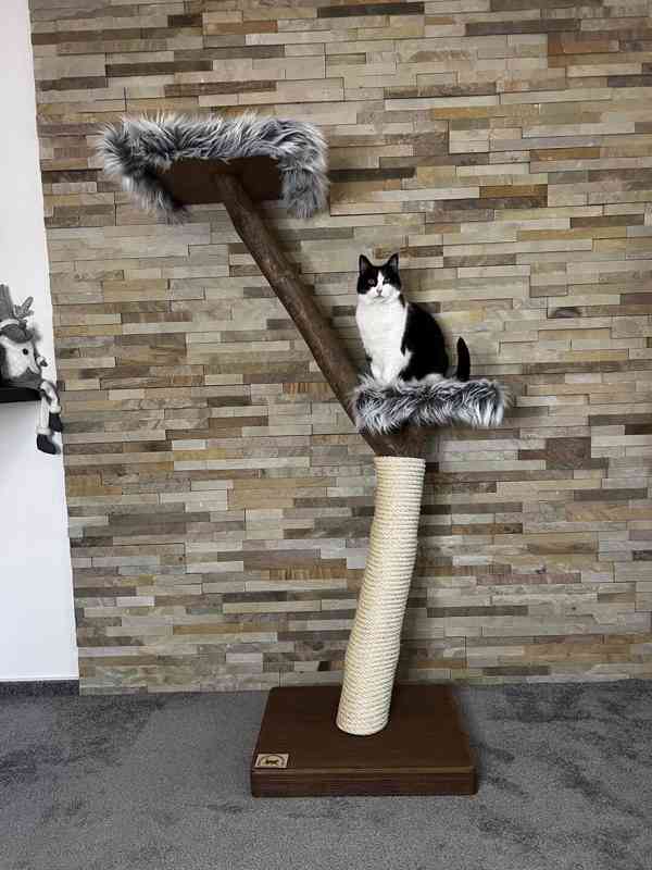 Kočičí stromy  - foto 1