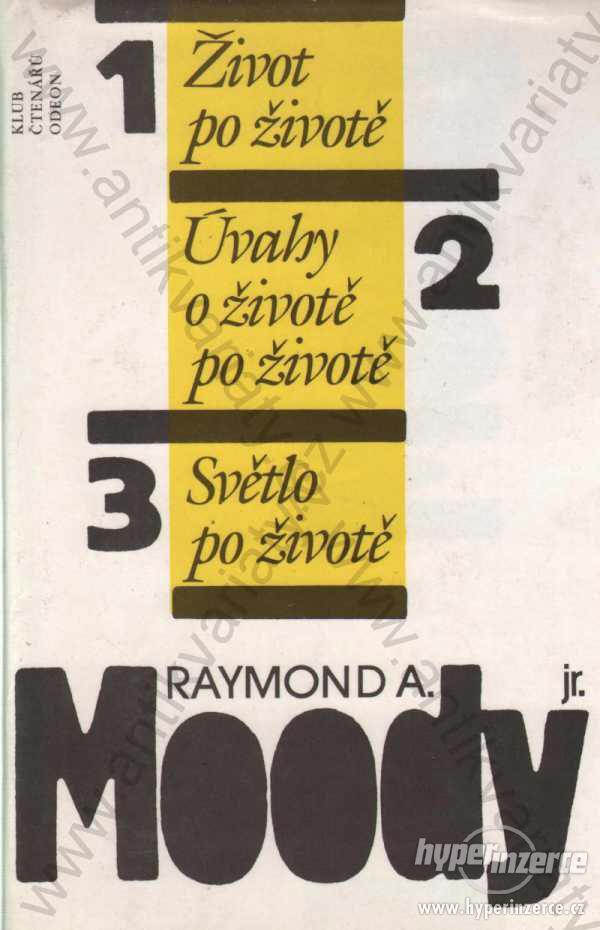 Život po životě Rymond A., Moody, jr. 1991 - foto 1