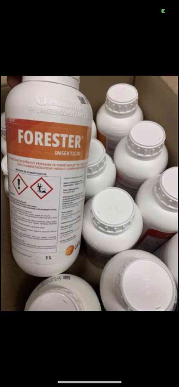 Forester  - foto 1