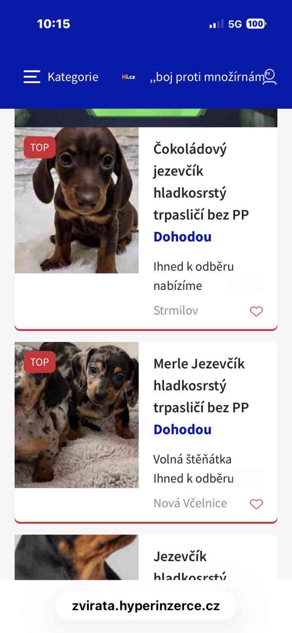 Jezevčík-TRESTANI PODVODNICI - foto 2