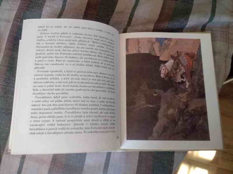 Velká  kniha pohádek od B.Němcové - foto 6