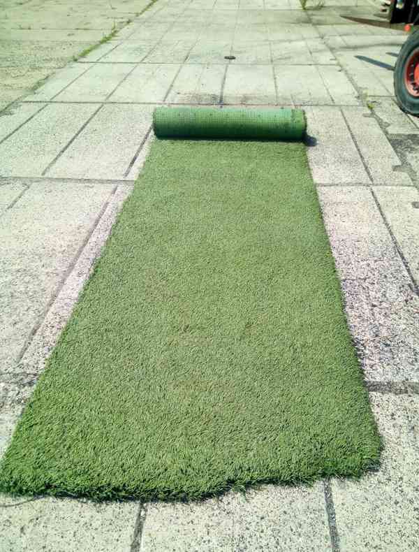 Travní koberec, pásy - foto 3