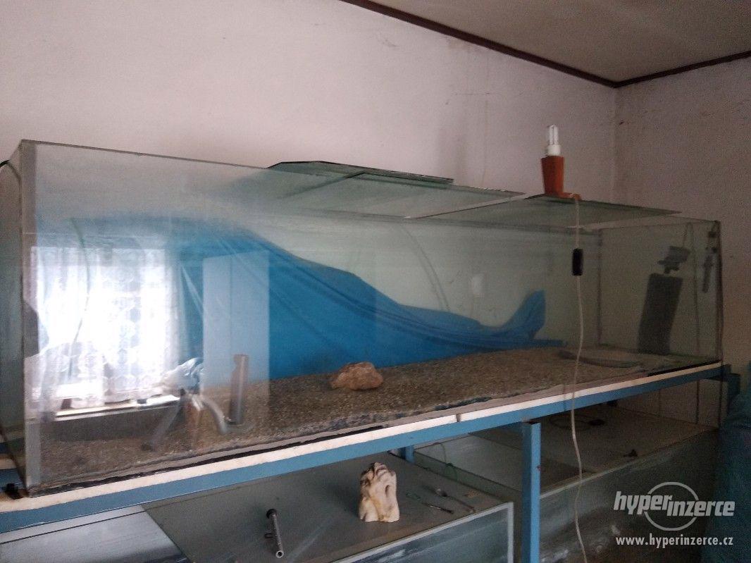 VELKÝ VÝPRODEJ AKVÁRIÍ - foto 1
