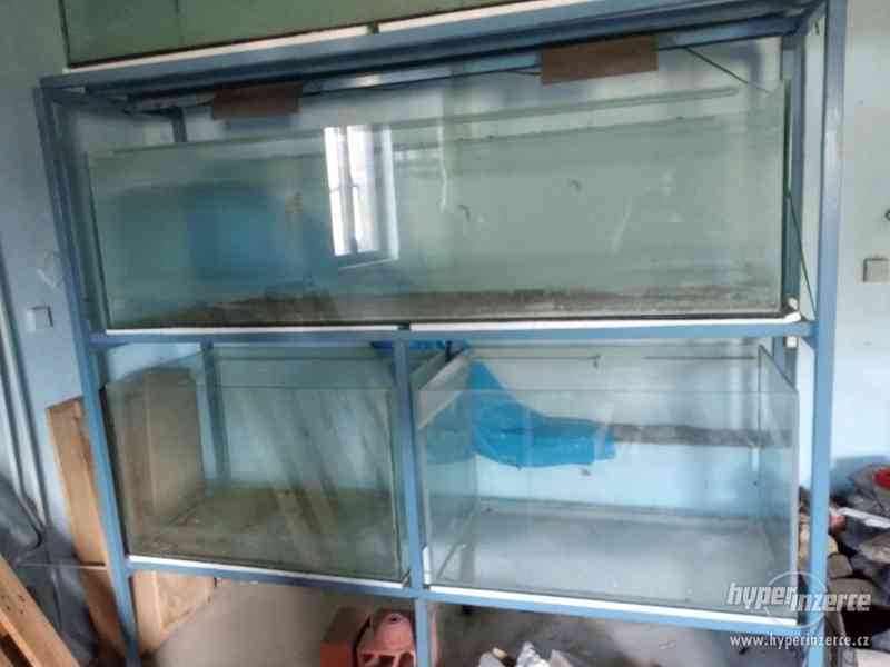 VELKÝ VÝPRODEJ AKVÁRIÍ - foto 3