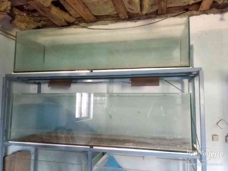 VELKÝ VÝPRODEJ AKVÁRIÍ - foto 4