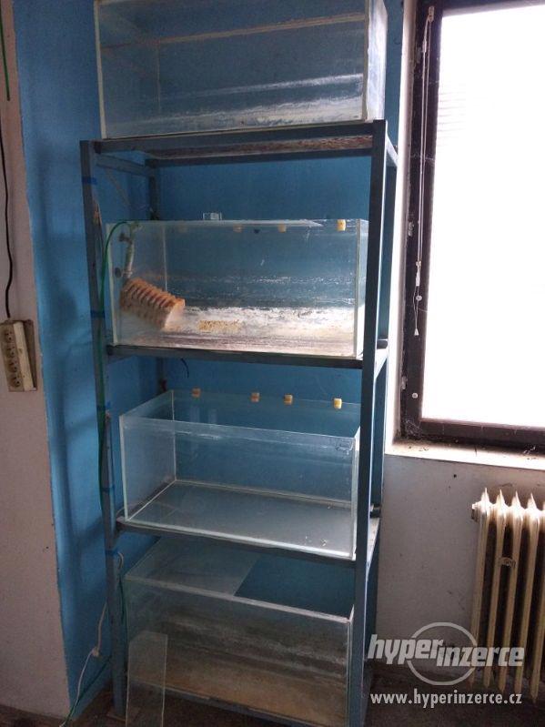 VELKÝ VÝPRODEJ AKVÁRIÍ - foto 7