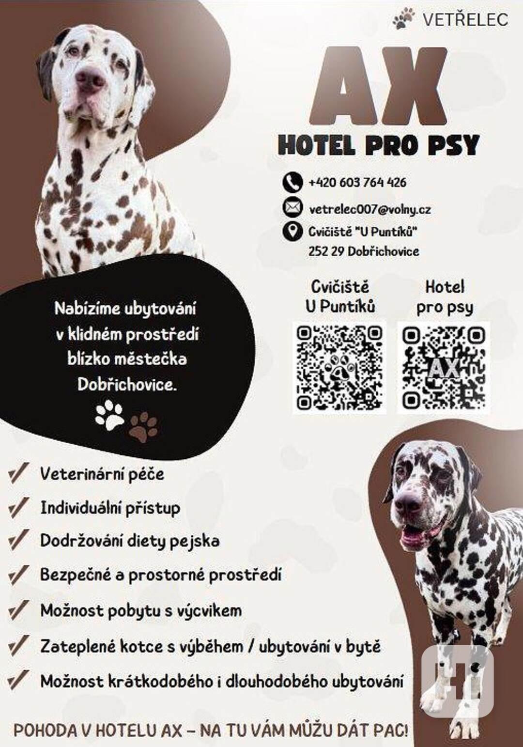 Hotel pro psy - psí hotel Hotel AX - foto 1