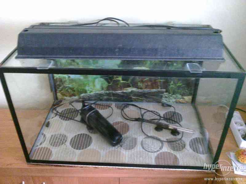 Akvarium 120l. s vybavením - foto 3