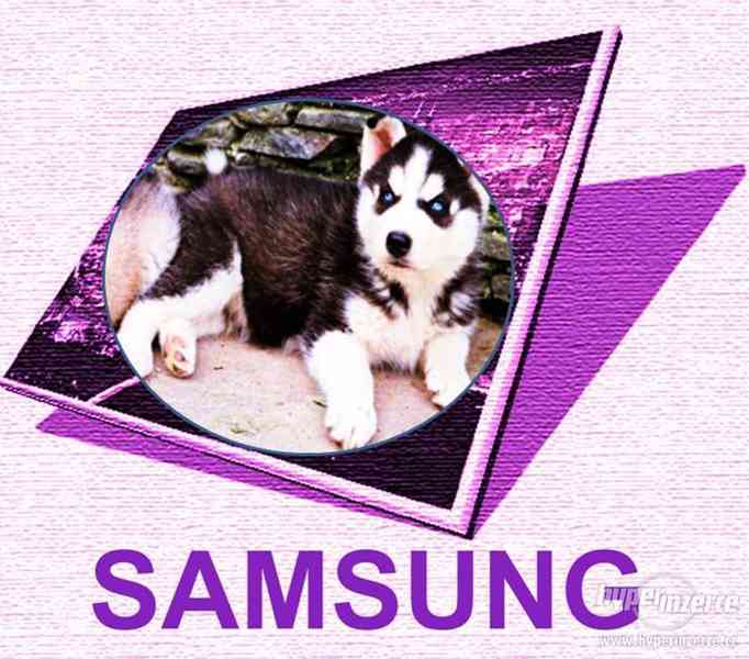 LCD SAMSUNG 15,4" pro notebook - foto 1