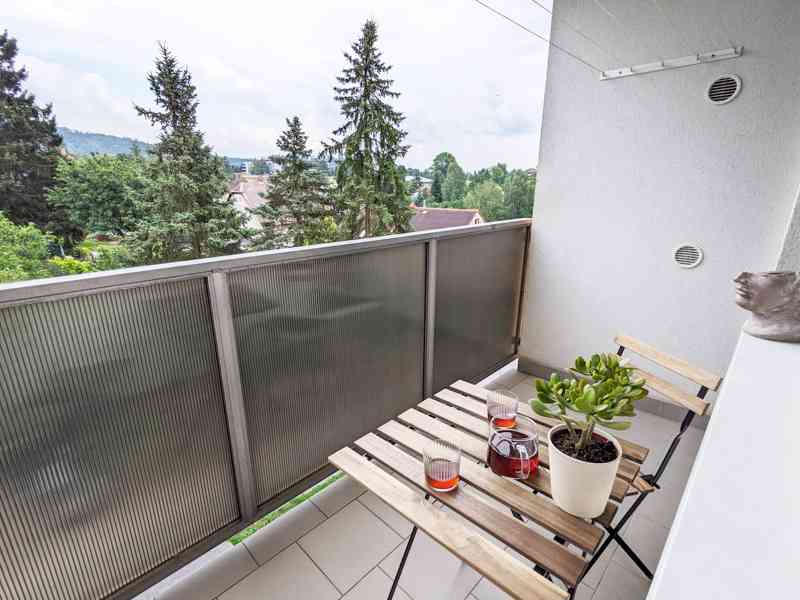 pronájem bytu Liberec, Ruprechtice, 1+1, 40m2, all inclusive - foto 22