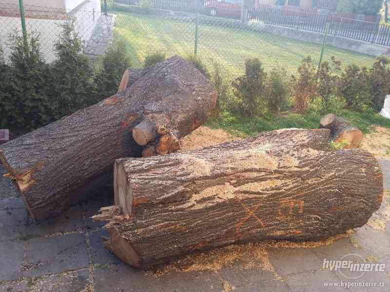 Lípové dřevo pro řezbáře - foto 3