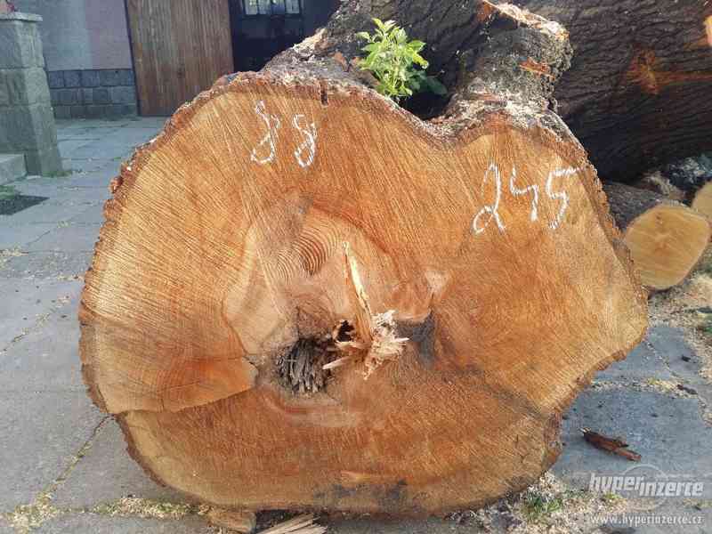 Lípové dřevo pro řezbáře - foto 4