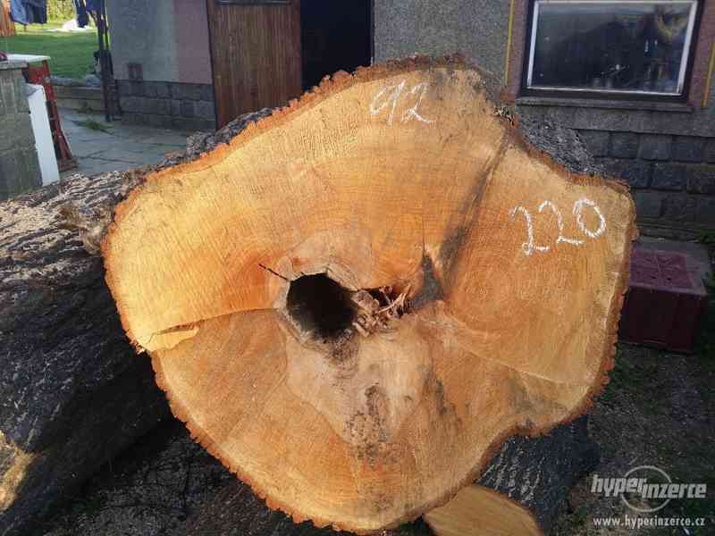 Lípové dřevo pro řezbáře - foto 5